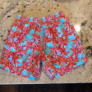Vilebrequin Swim Trunks